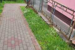 IMG-20240512-WA0022