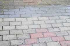 IMG-20240512-WA0040