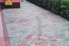 IMG-20240512-WA0049