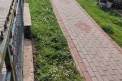 IMG-20240512-WA0064